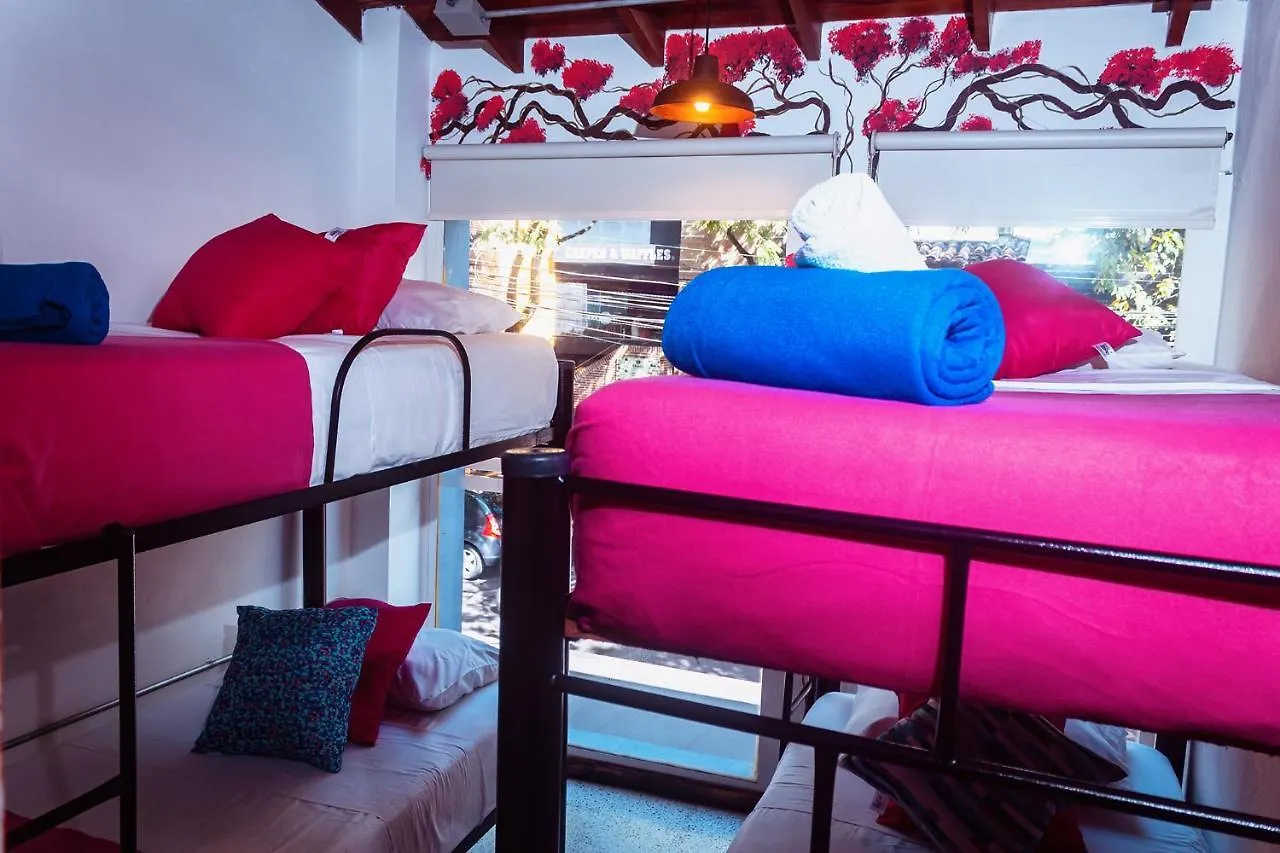 מדיין Hotel Boutique Stay Provenza אכסניה